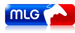 Major League Gaming (MLG)